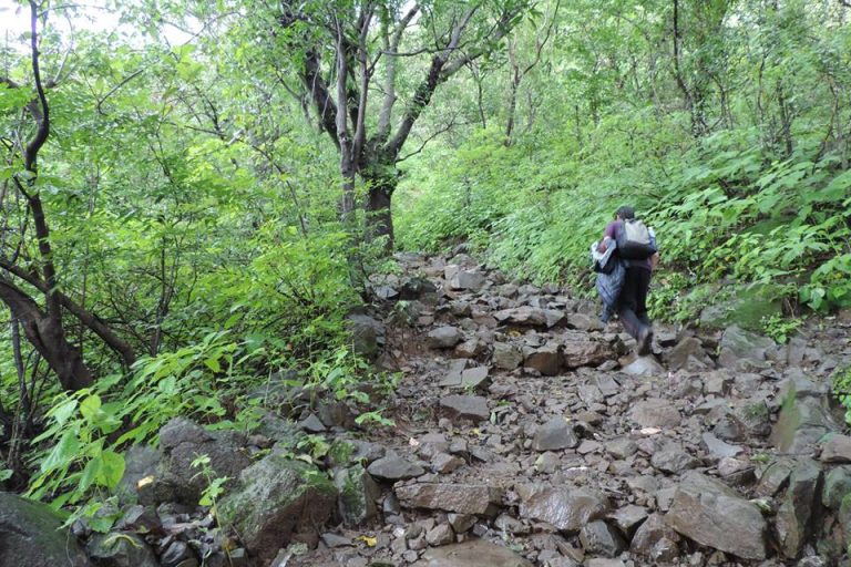 Bhimashankar Trek via Shidi Ghat Blog