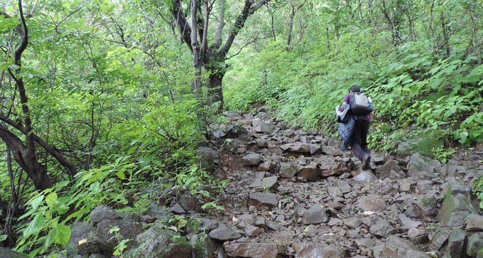 Bhimashankar Trek via Shidi Ghat Blog