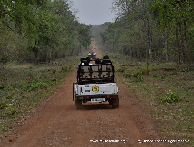 Tadoba National Park