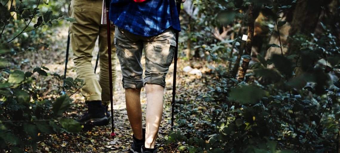 Trekking Equipment Guide
