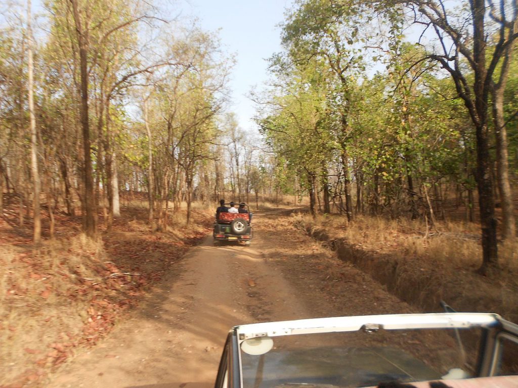Pench Tiger Reserve