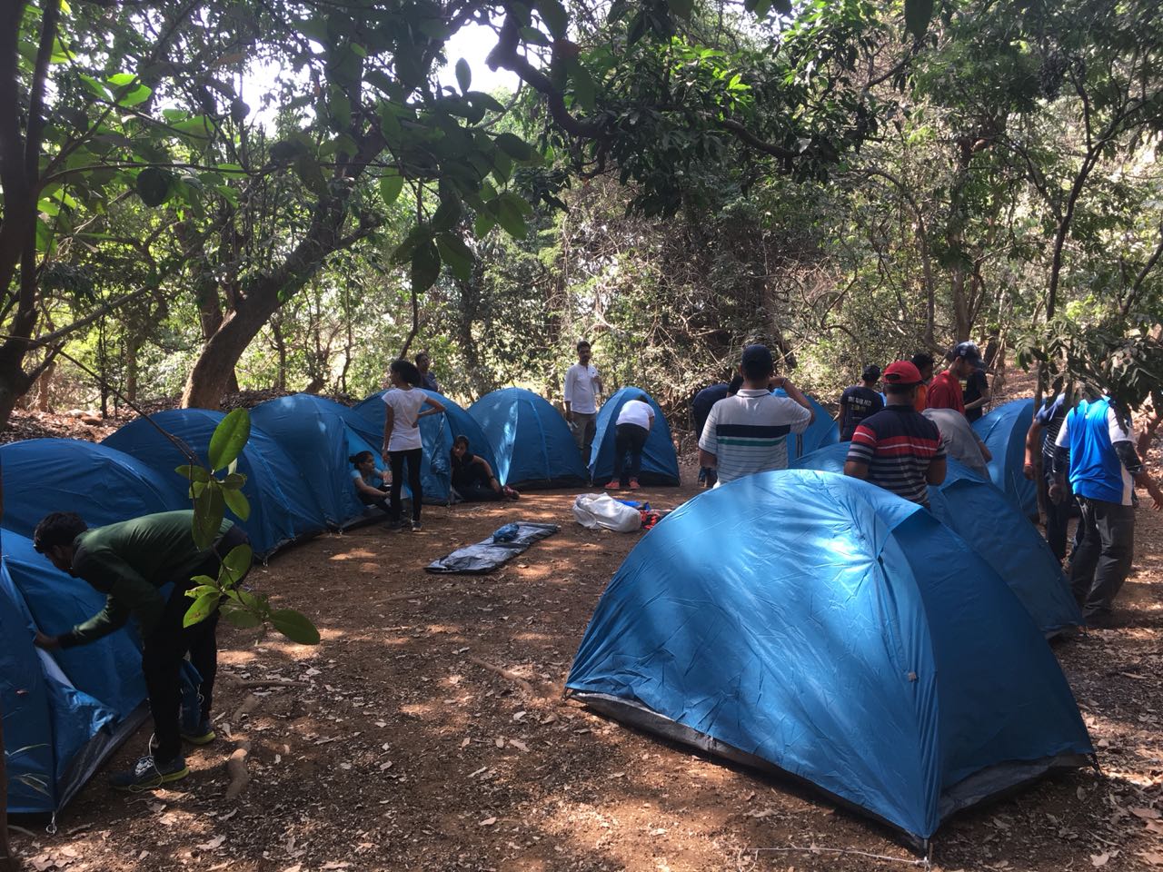 Why you should go for Camping