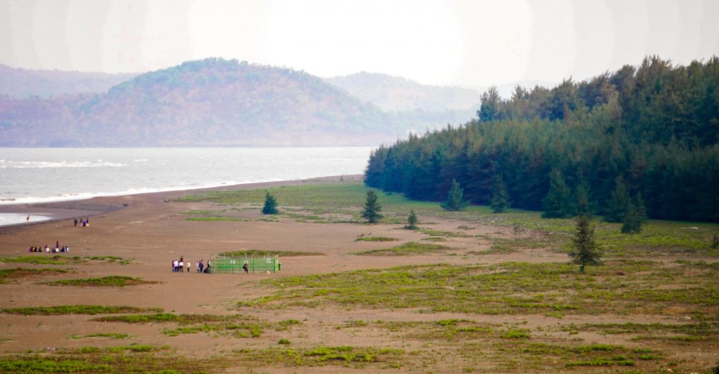 Velas Beach Turtle Festival-3