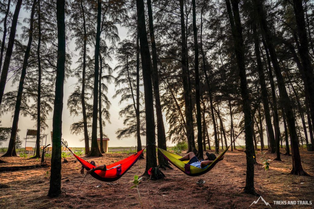 Velas Beach Hammock