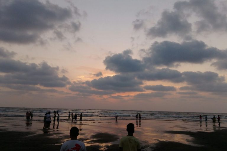 Velas Turtle Festival 2014 Blog