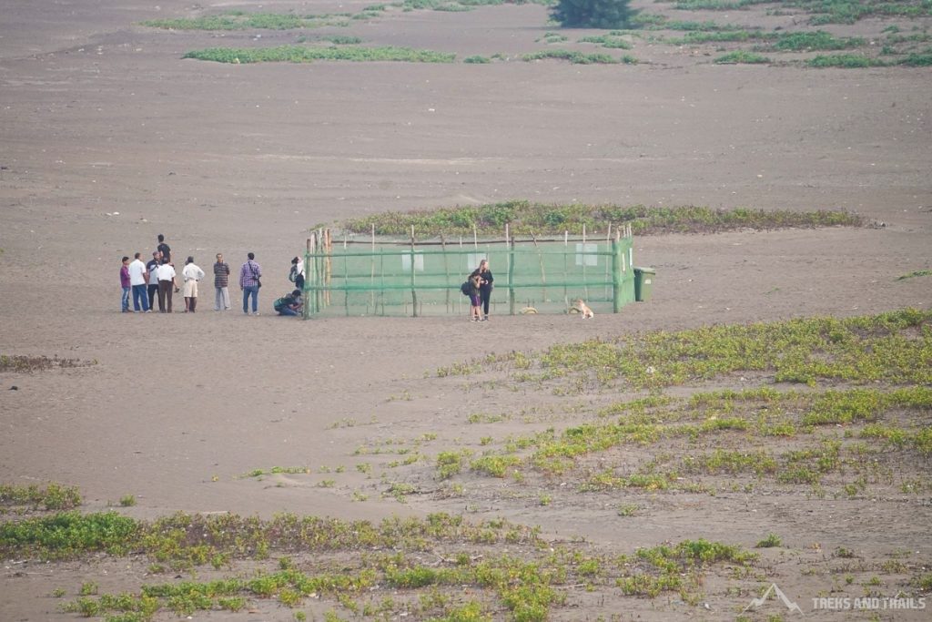 Turtle Conservation Center Velas