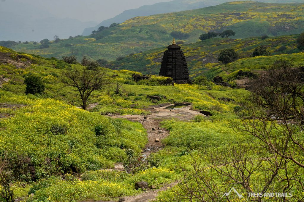 Harishchandragad-Camping