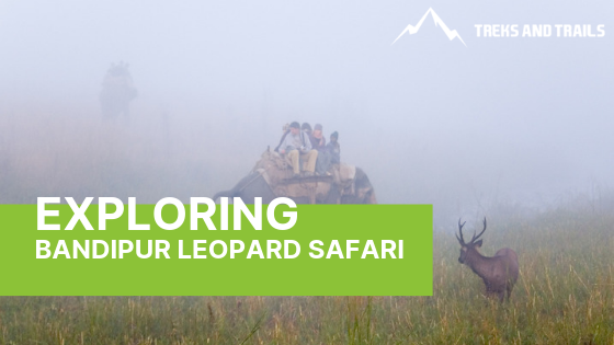 Bandipur National Park Photography Tour
