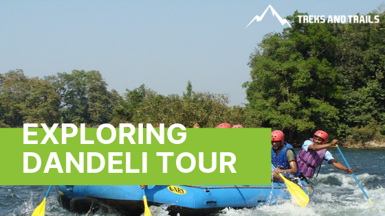 Dandeli River Rafting and Wildlife Sanctuary