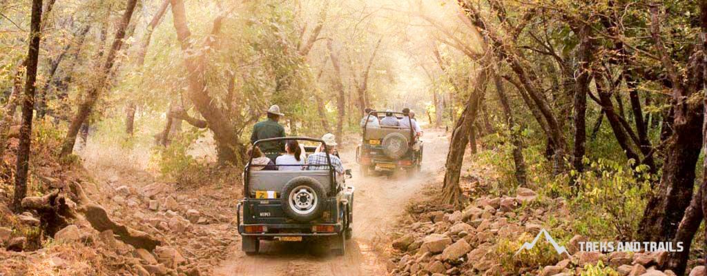 Dudhsagar-Waterfall-Trek (10)