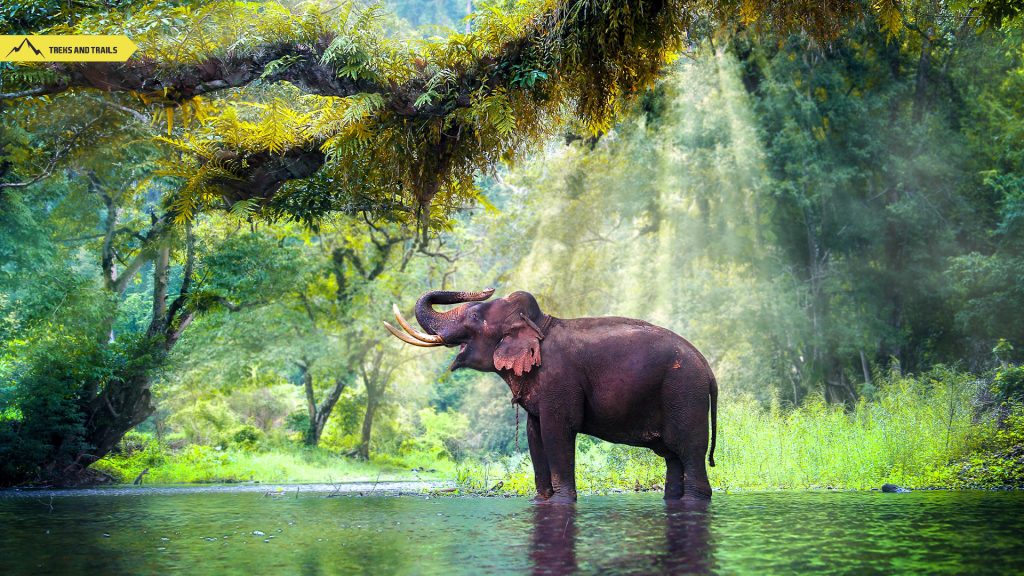 khao-sok-national-park