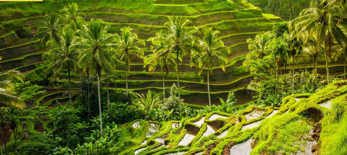 Bali Indonesia Tourism | Digital Nomads
