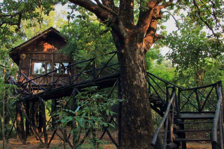 Top Ten Tree House Resorts in India Treks and Trails India