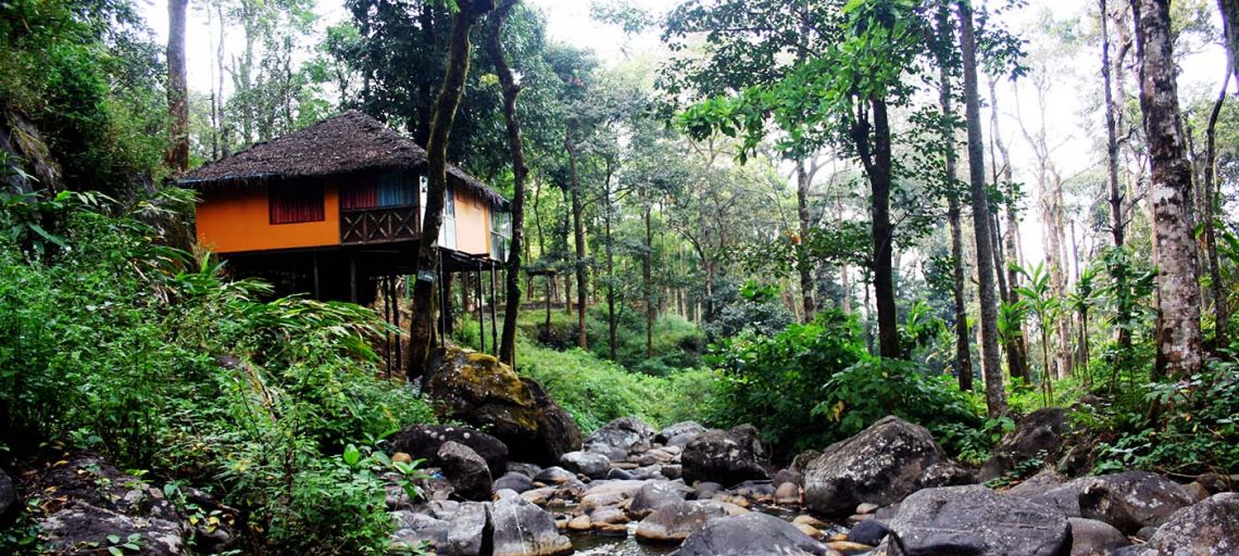 Top Ten Tree House Resorts in India