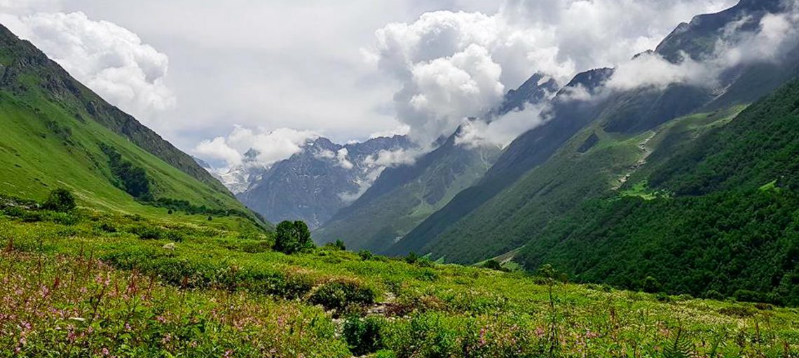 Valley of Flowers Uttarakhand