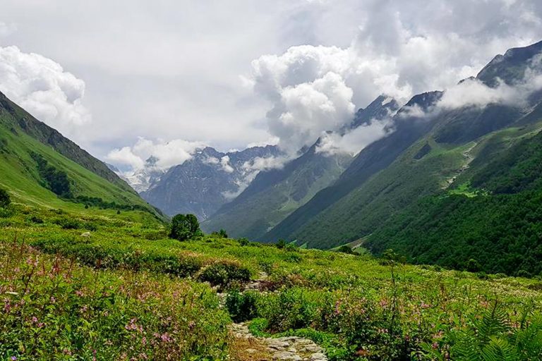 Valley of Flowers Uttarakhand
