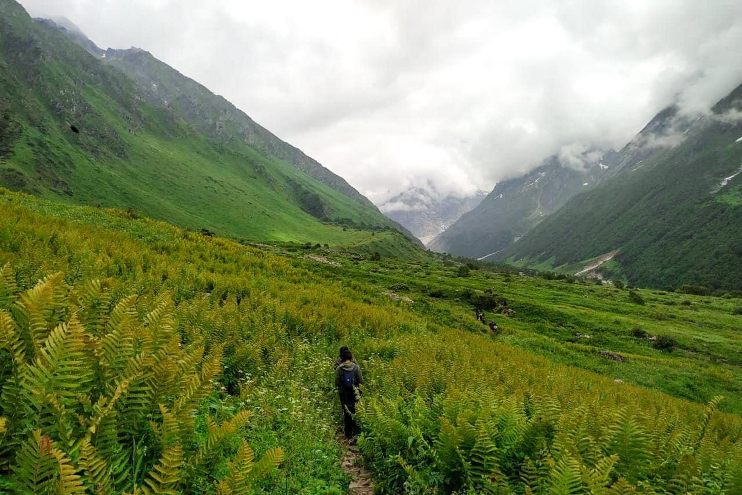 Valley-of-flowers-gopro-5