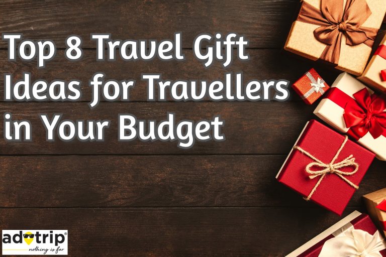 Top 8 travel gift ideas for travellers in your budget