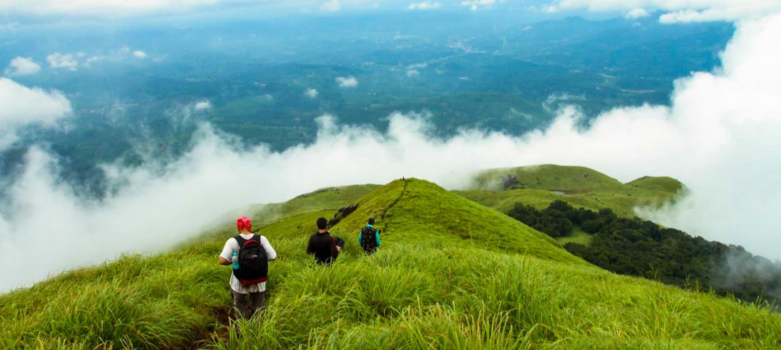 Chembra Peak Trek