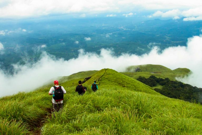 Chembra Peak Trek