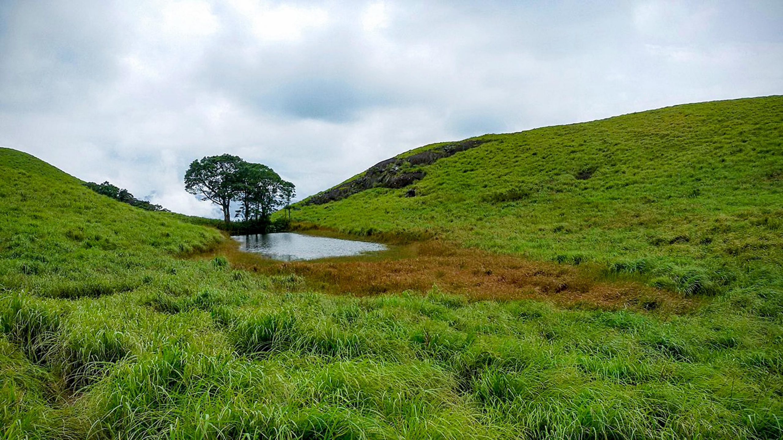 chembra peak trek booking