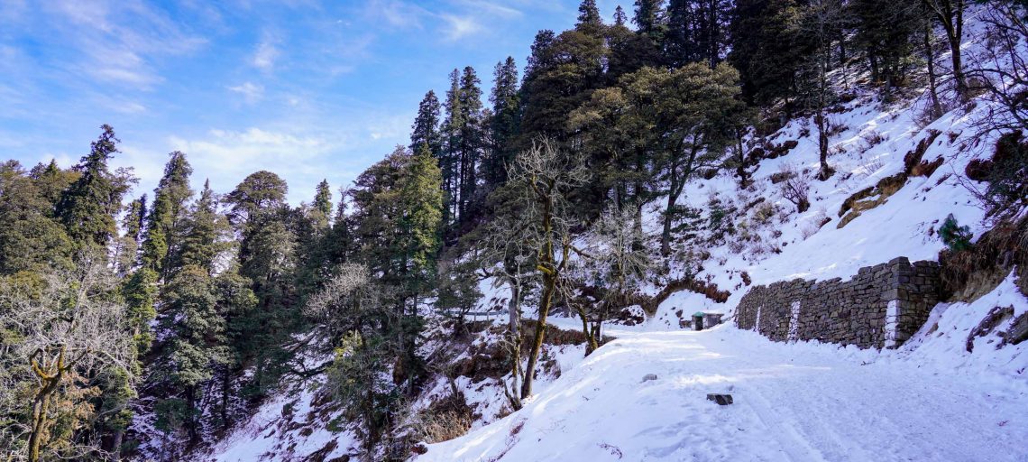 Hatu Peak Trek Narkanda