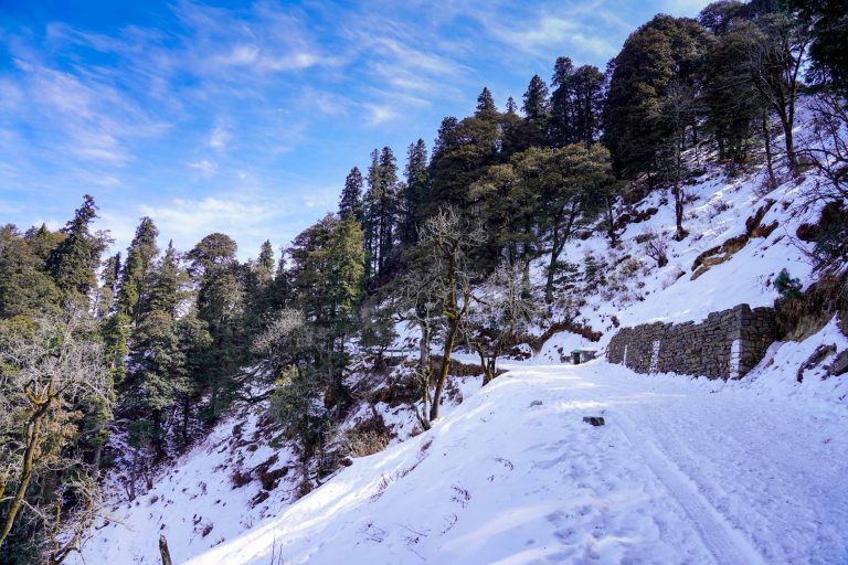Hatu Peak Trek Narkanda