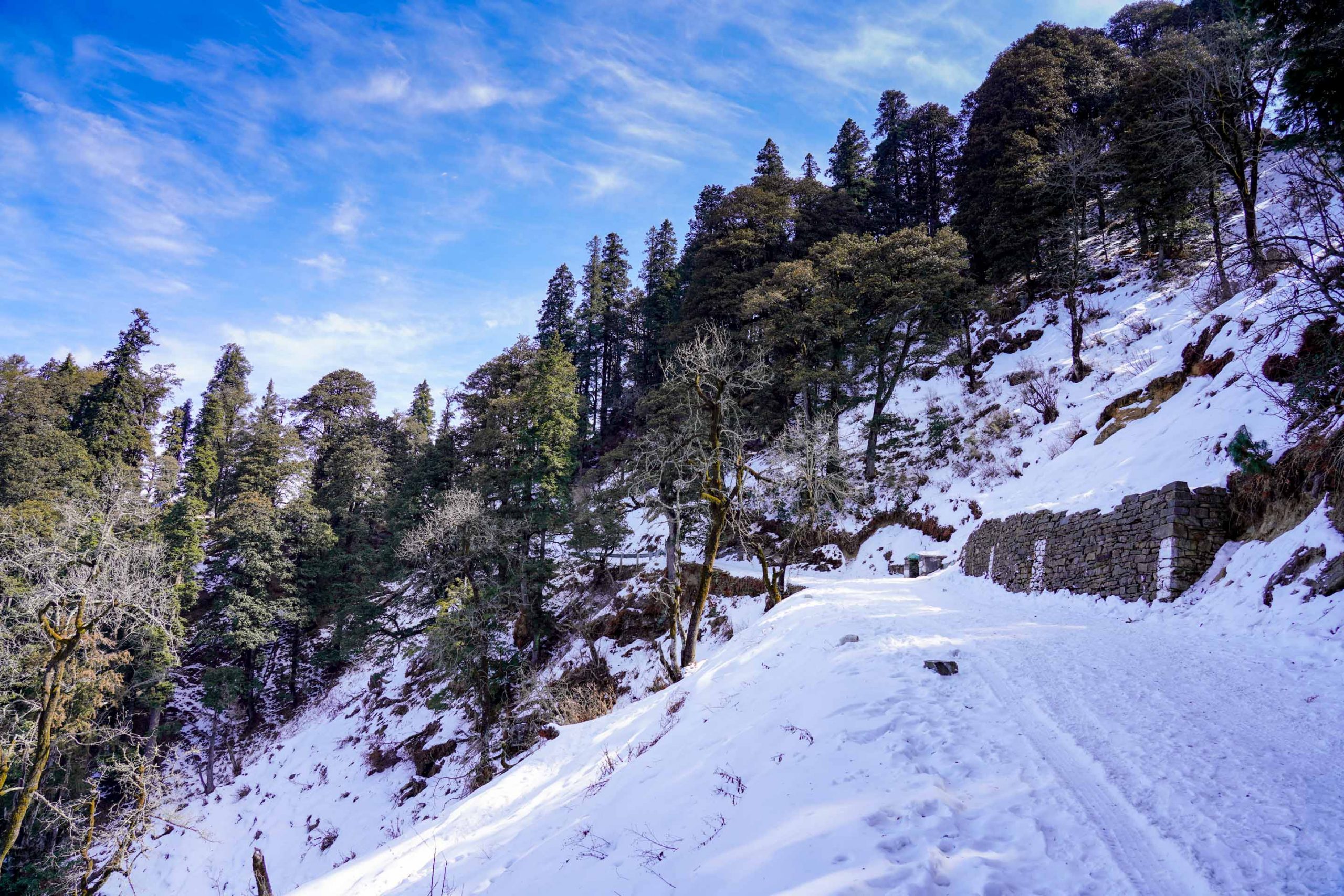 narkanda hatu peak trek