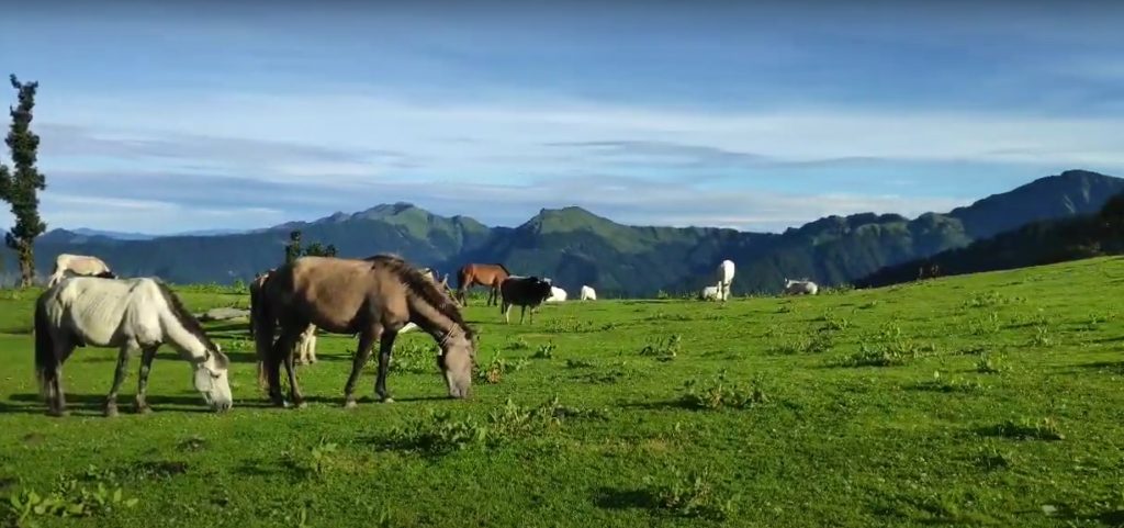 Saru Tal Trek