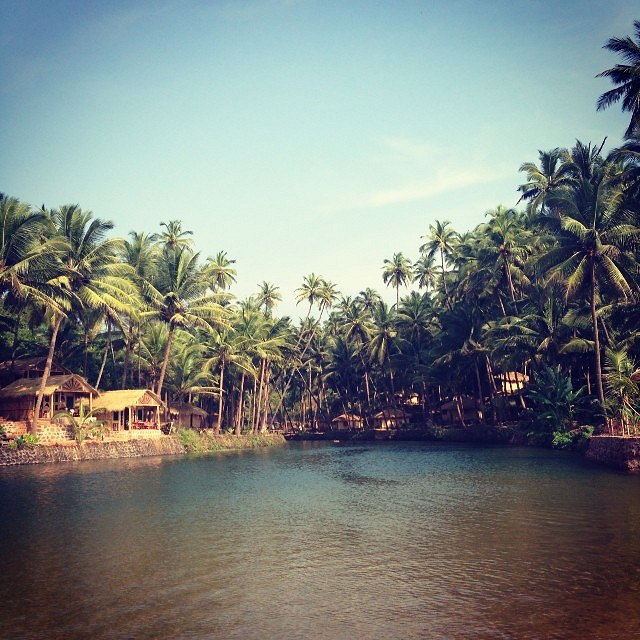 Cola Beach Goa