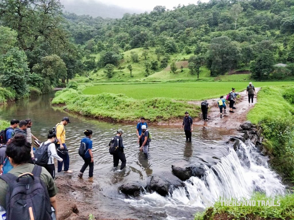 Kalsubai-Trek