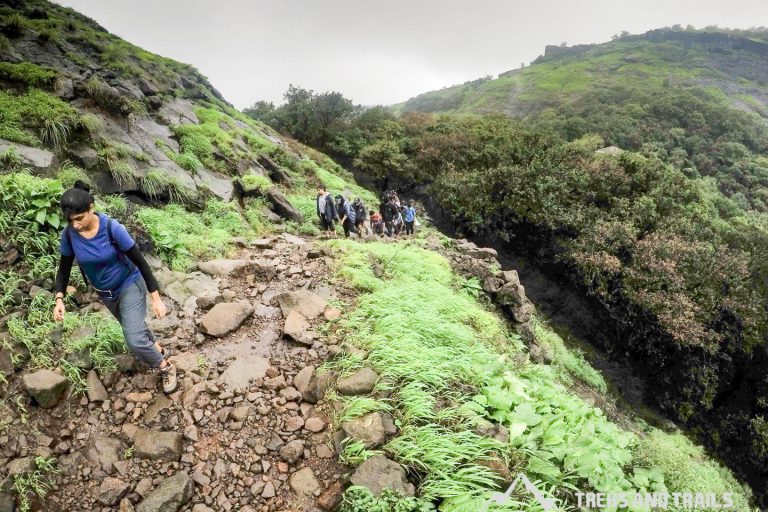 Safe Monsoon Treks in Maharashtra