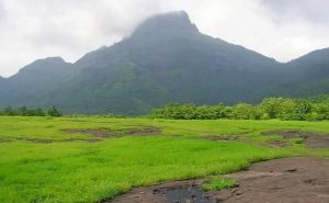 chanderi-fort