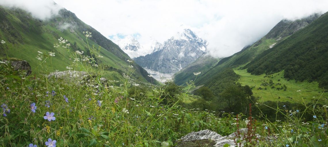 India’s hidden Valley of flowers
