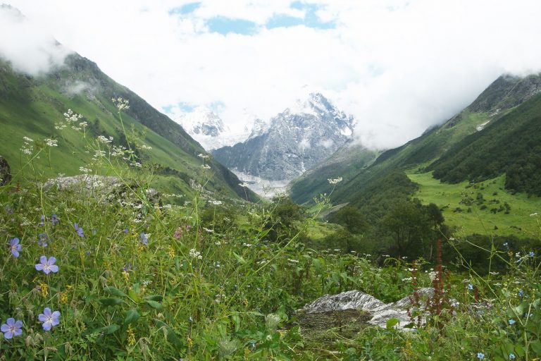India’s hidden Valley of flowers