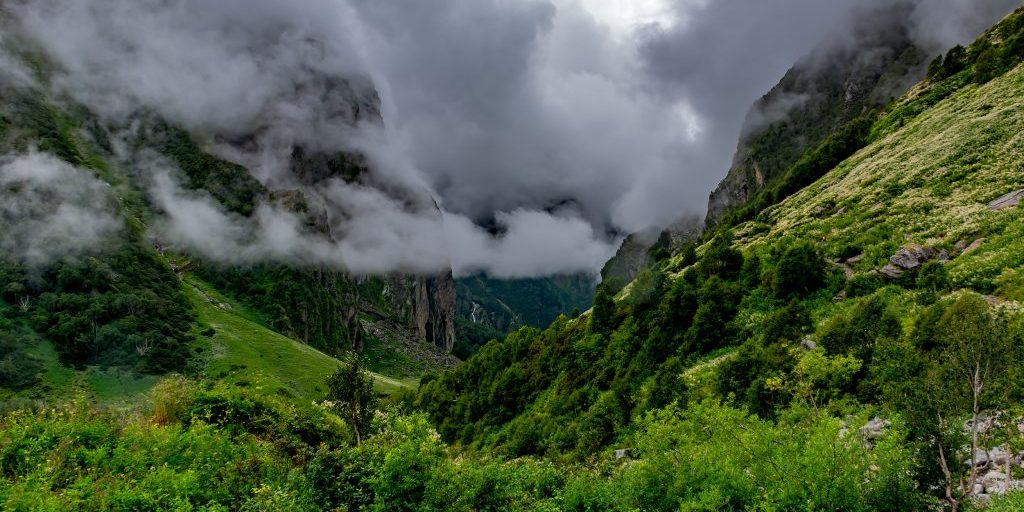 Planning a solo hike through the Valley of Flowers under Rs 4000!