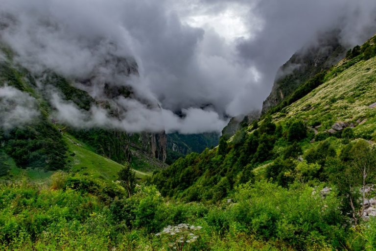 Planning a solo hike through the Valley of Flowers under Rs 4000!