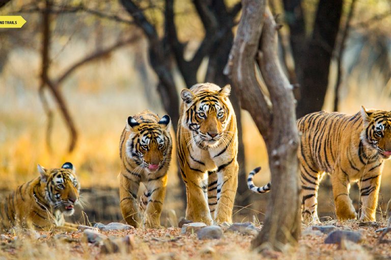 Five facts about Rajasthan