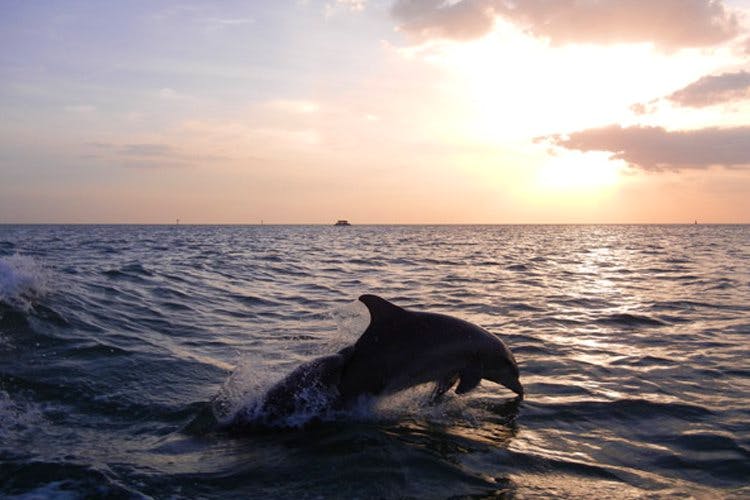 Top Five Goa Adventure Activities