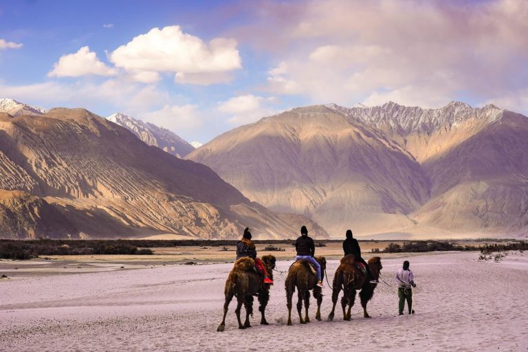 6 Best Things to do in Nubra Valley