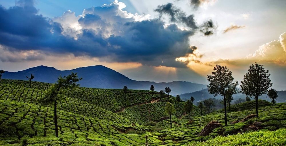 Explore the top offbeat hill stations in Kerala