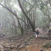 Andharban Image