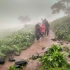 Andharban Monsoon Trek