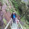 Bhimashankar Ladder 