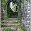 Tikona Fort Camping
