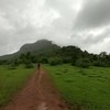 Sudhagad Trek Photo