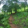 Sudhagad Jungle Trek