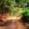 Nagla Block Photography 