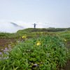 Harishchandragad Trek View