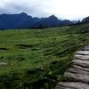 Chopta Chandrashila Trek Sightseeing